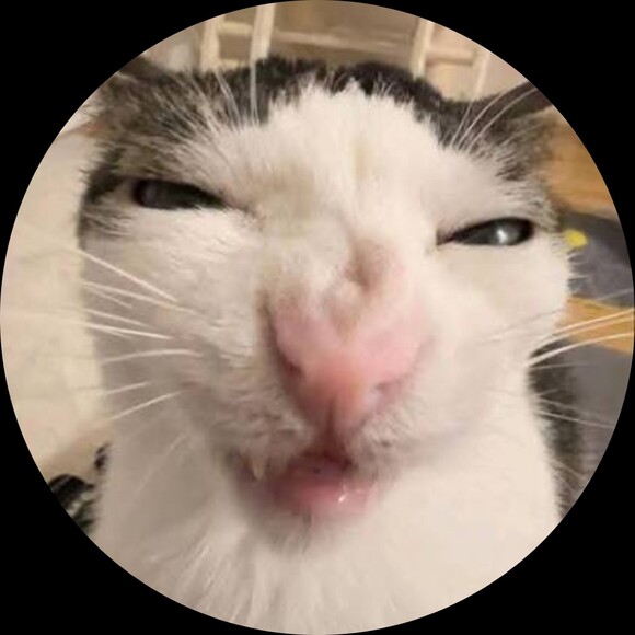 1catmeows